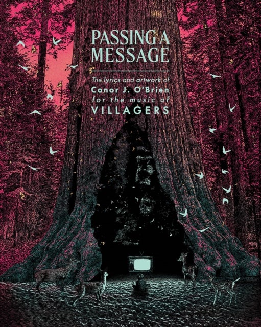 Passing a Message - The lyrics and artwork of Conor J. O¿Brien, for the music of Villagers