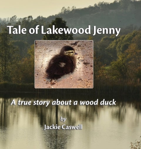 Tale of Lakewood Jenny - A true story about a wood duck