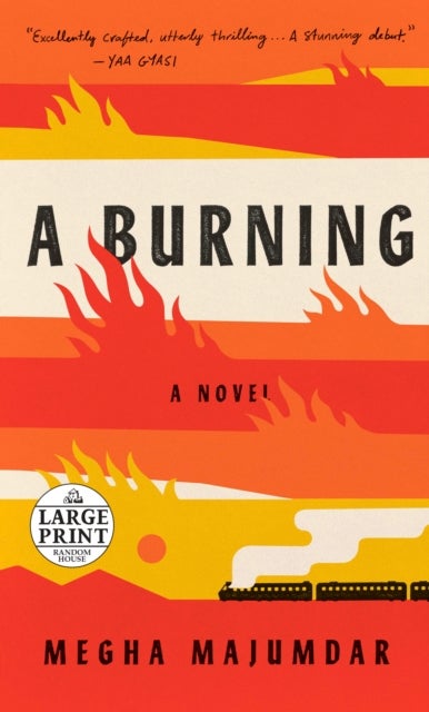 A Burning - A novel