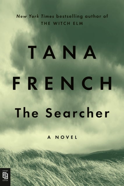 The searcher - a novel