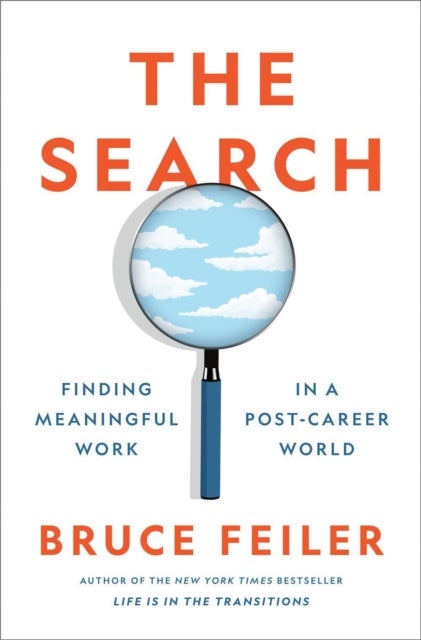 The Search - Finding Meaningful Work in a Post-Career World
