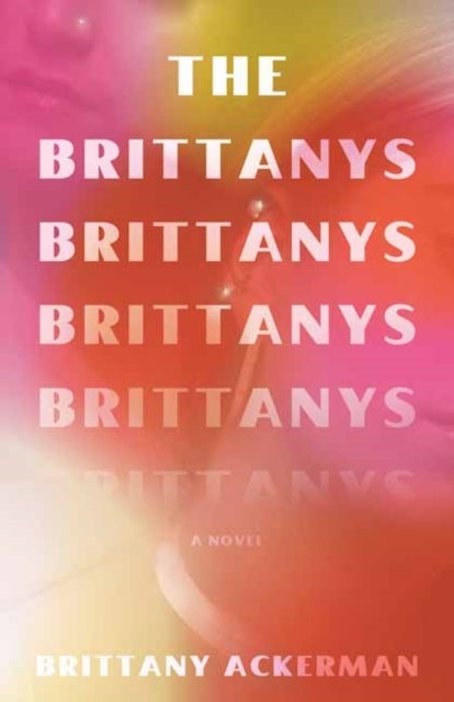 The Brittanys - A Novel