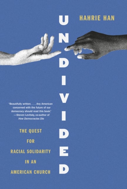 Undivided - The Quest for Racial Solidarity in an American Church