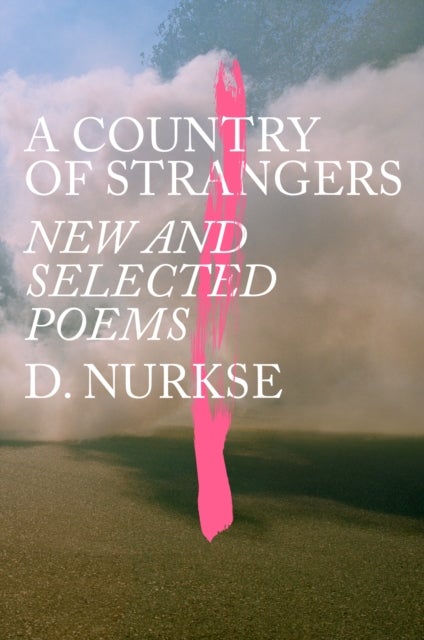 Bilde av A Country Of Strangers Av D. Nurkse