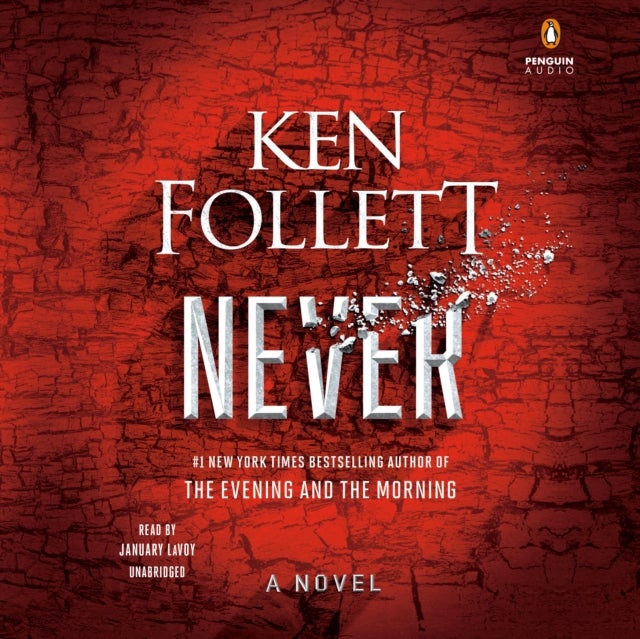 Never - A Novel