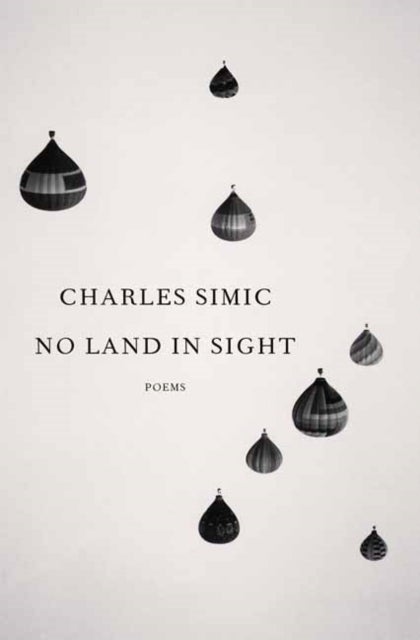 No Land in Sight - Poems