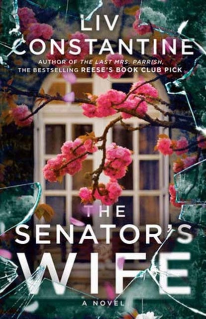 The Senator's Wife - A Novel