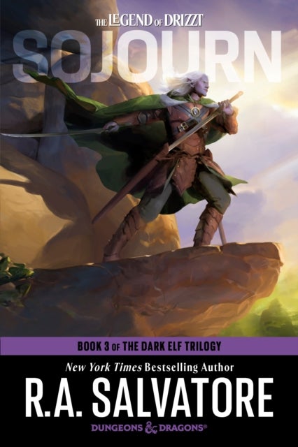 Dungeons & Dragons - Book 3 of The Dark Elf Trilogy