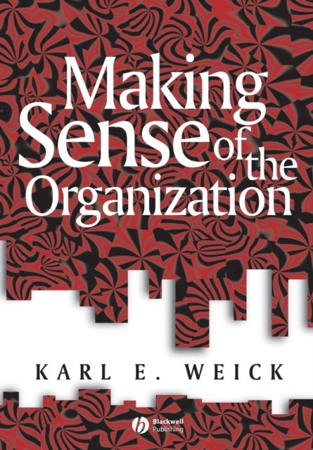 Making Sense of the Organization