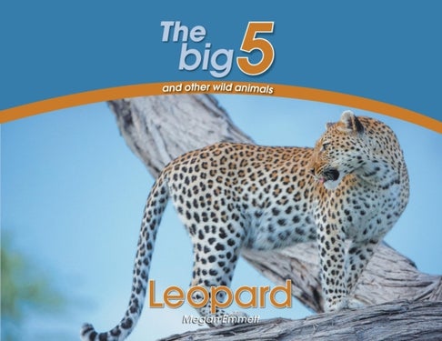 Leopard - The Big 5 and other wild animals