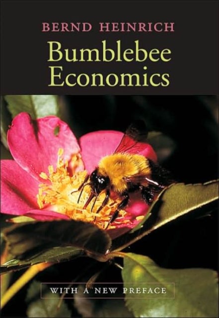 Bumblebee Economics - With a New Preface