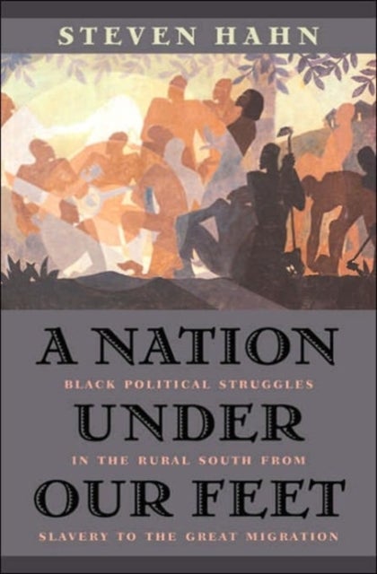A Nation under Our Feet - Black Political Struggles in the Rural South from Slavery to the Great Migration
