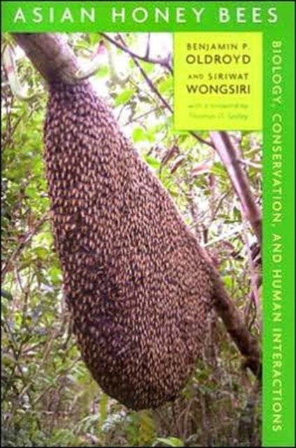 Bilde av Asian Honey Bees Av Benjamin P. Oldroyd, Siriwat Wongsiri