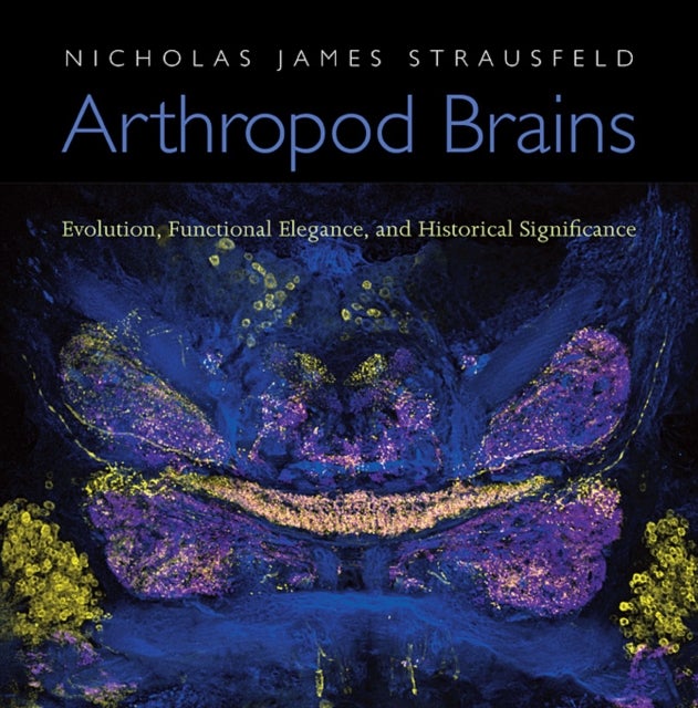 Bilde av Arthropod Brains Av Nicholas James Strausfeld