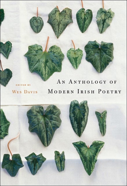 Bilde av An Anthology Of Modern Irish Poetry
