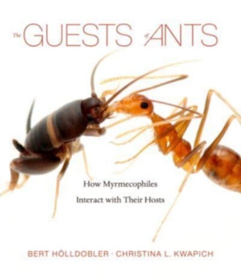 The Guests of Ants - How Myrmecophiles Interact with Their Hosts