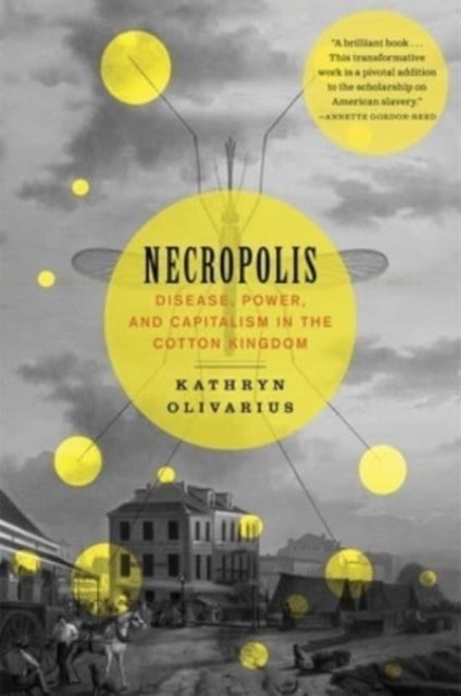 Necropolis - Disease, Power, and Capitalism in the Cotton Kingdom