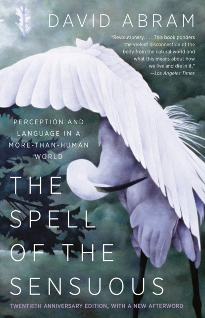 The Spell of the Sensuous - Perception and Language in a More-Than-Human World