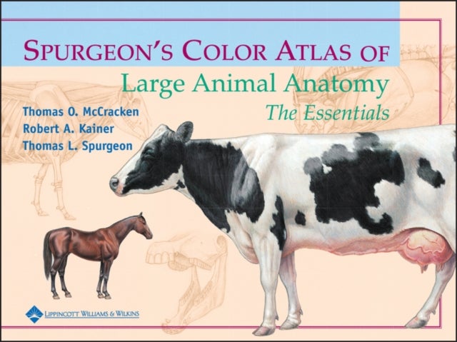 Spurgeon's Color Atlas of Large Animal Anatomy - The Essentials