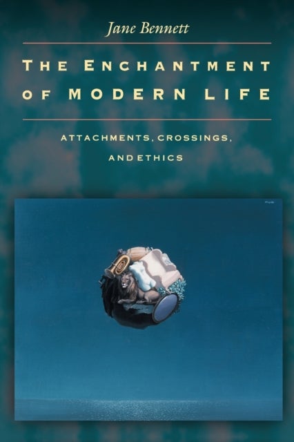 The Enchantment of Modern Life - Attachments, Crossings, and Ethics