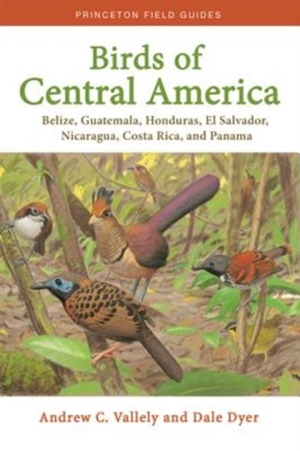 Bilde av Birds Of Central America Av Andrew Vallely, Dale Dyer
