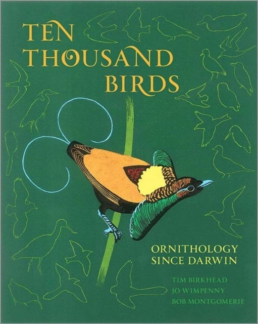 Bilde av Ten Thousand Birds Av Tim Birkhead, Jo Wimpenny, Bob Montgomerie