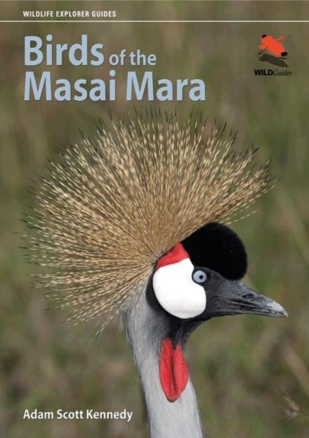 Bilde av Birds Of The Masai Mara Av Adam Scott Kennedy
