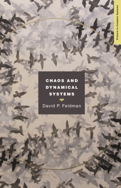 Bilde av Chaos And Dynamical Systems Av David Feldman