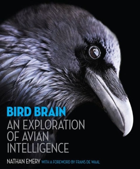Bird Brain - An Exploration of Avian Intelligence