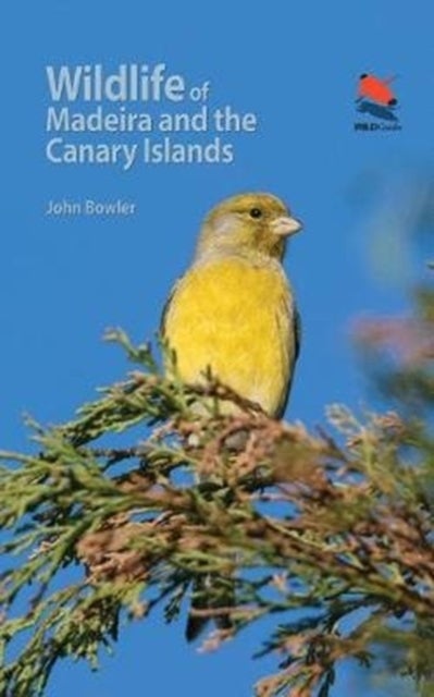 Wildlife of Madeira and the Canary Islands - A Photographic Field Guide to Birds, Mammals, Reptiles, Amphibians, Butterflies and Dragonflies