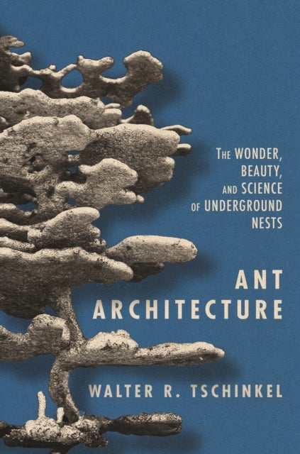 Ant Architecture - The Wonder, Beauty, and Science of Underground Nests
