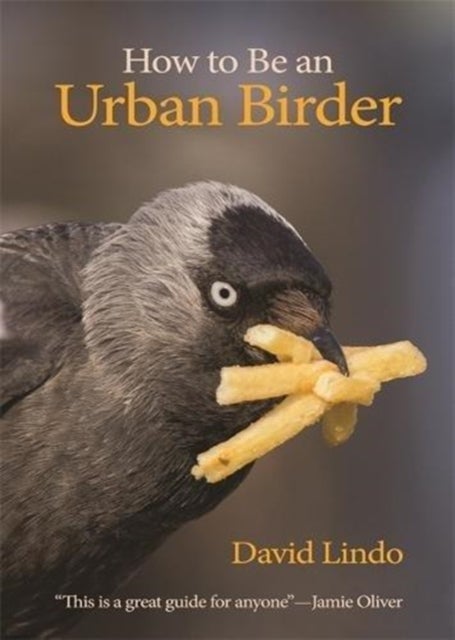 Bilde av How To Be An Urban Birder Av David Lindo