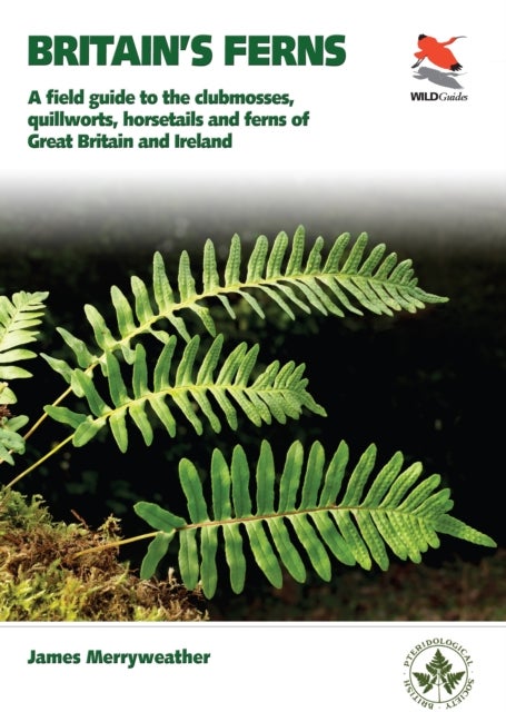 Britain's Ferns - A Field Guide to the Clubmosses, Quillworts, Horsetails and Ferns of Great Britain and Ireland