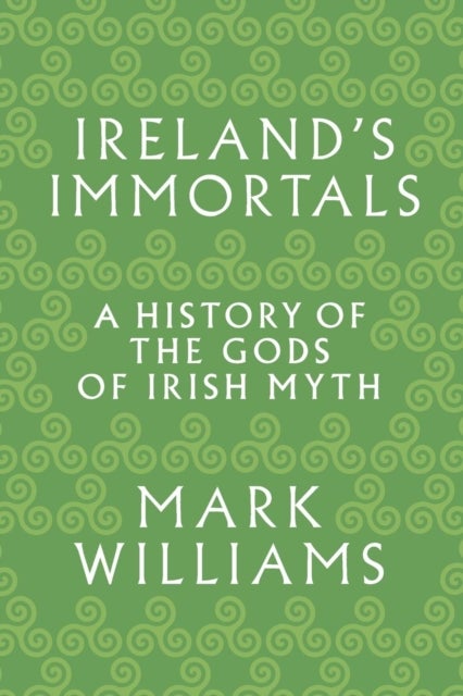 Ireland's Immortals - A History of the Gods of Irish Myth