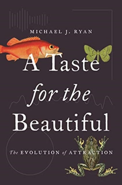 A Taste for the Beautiful - The Evolution of Attraction
