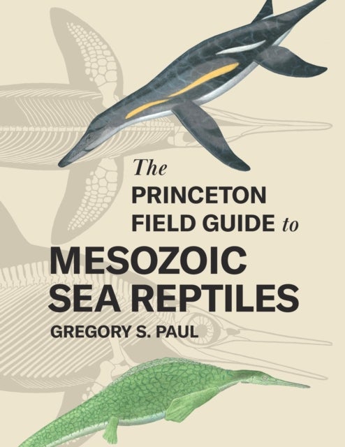 Bilde av The Princeton Field Guide To Mesozoic Sea Reptiles Av Gregory S. Paul