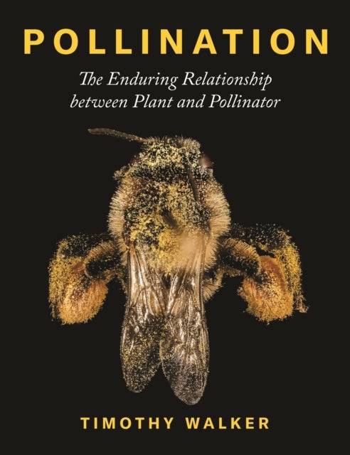 Pollination - The Enduring Relationship between Plant and Pollinator