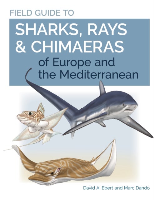 Bilde av Field Guide To Sharks, Rays &amp; Chimaeras Of Europe And The Mediterranean Av Dr. David A. Ebert, Marc Dando