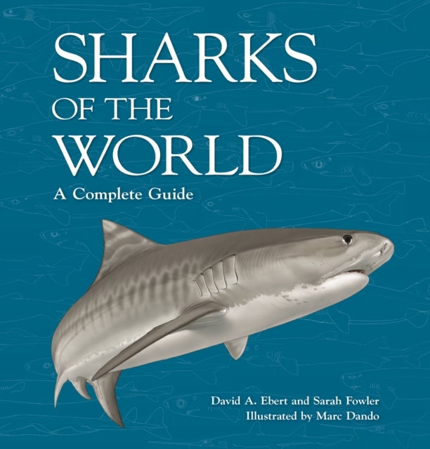 Bilde av Sharks Of The World Av Dr. David A. Ebert, Marc Dando, Dr. Sarah Fowler