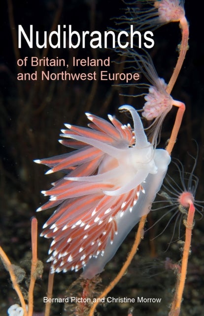 Nudibranchs of Britain, Ireland and Northwest Europe - Second Edition