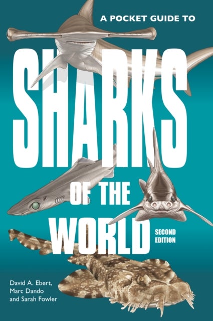 Bilde av A Pocket Guide To Sharks Of The World Av Dr. David A. Ebert, Marc Dando, Dr. Sara Fowler