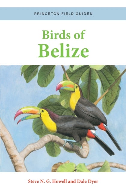 Bilde av Birds Of Belize Av Steve N. G. Howell, Dale Dyer