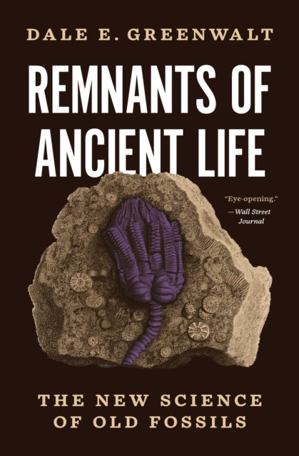 Remnants of Ancient Life - The New Science of Old Fossils