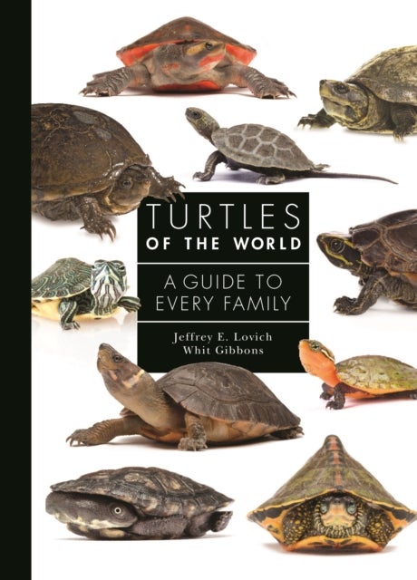 Bilde av Turtles Of The World Av Jeffrey E. (co-deputy Chief Terrestrial Ecosystems Drylands Branch) Lovich, Dr. Whit (professor Emeritus Of Ecology) Gibbons