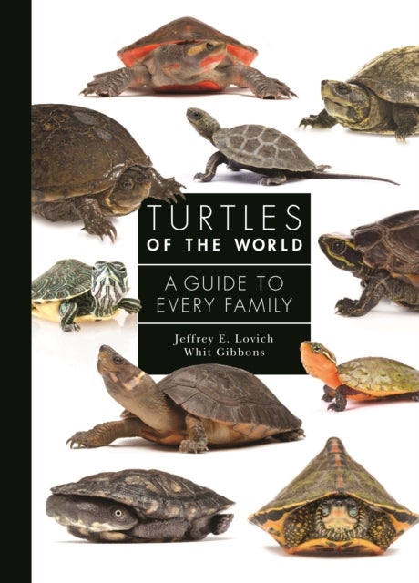 Turtles of the World - A Guide to Every Family