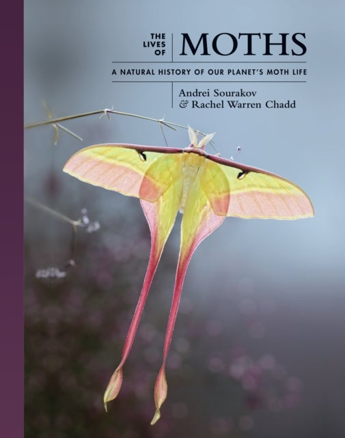 The Lives of Moths - A Natural History of Our Planet's Moth Life