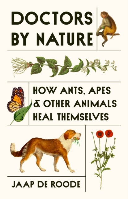 Doctors by Nature - How Ants, Apes, and Other Animals Heal Themselves