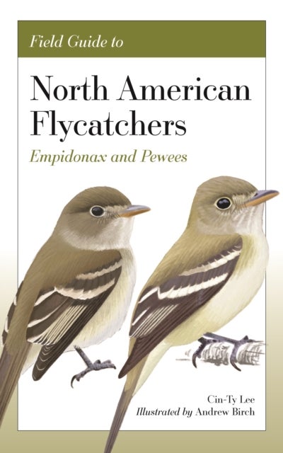 Field Guide to North American Flycatchers - Empidonax and Pewees