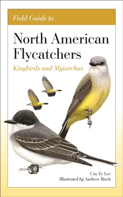 Field Guide to North American Flycatchers - Kingbirds and Myiarchus