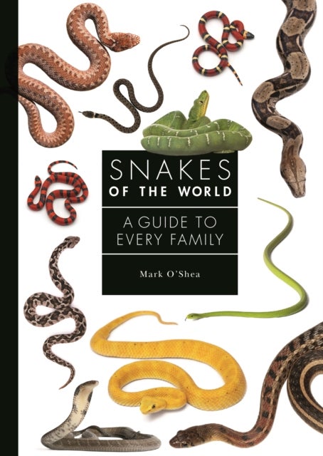 Snakes of the World - A Guide to Every Family